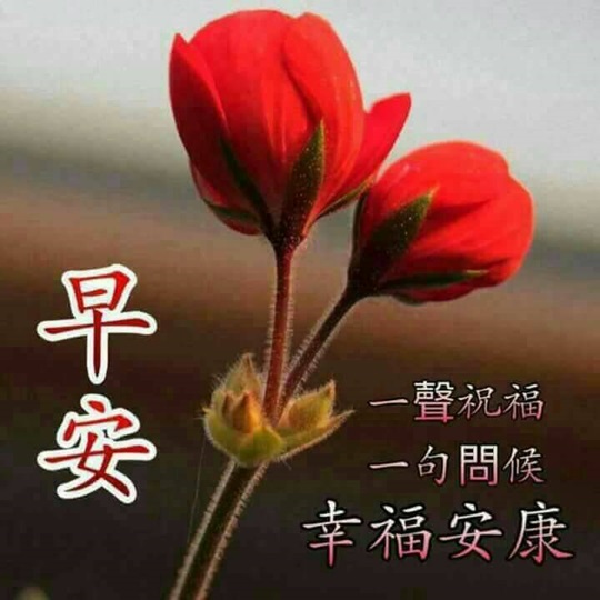 按我可連結至更清楚的圖片